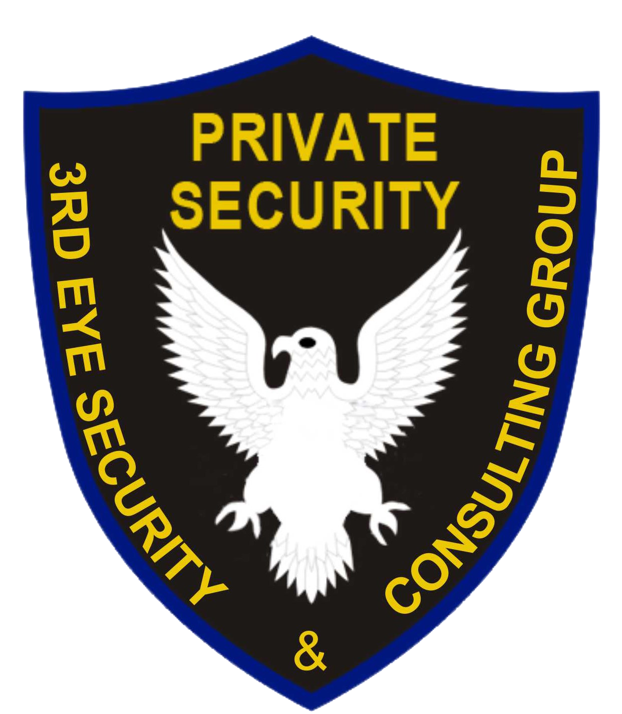 3rd Eye Security Logo